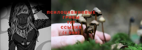 не бодяженный Арсеньев