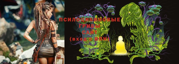 не бодяженный Арсеньев