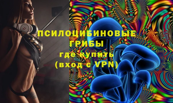 не бодяженный Арсеньев