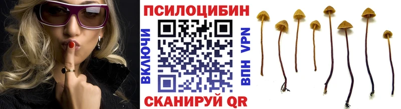 Псилоцибиновые грибы мухоморы  Людиново 